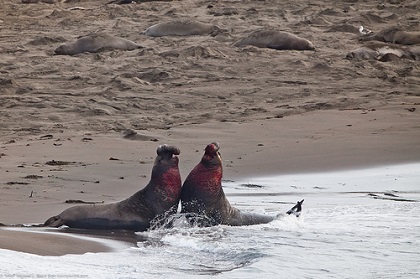 6598973705_c8a7a4d0e1